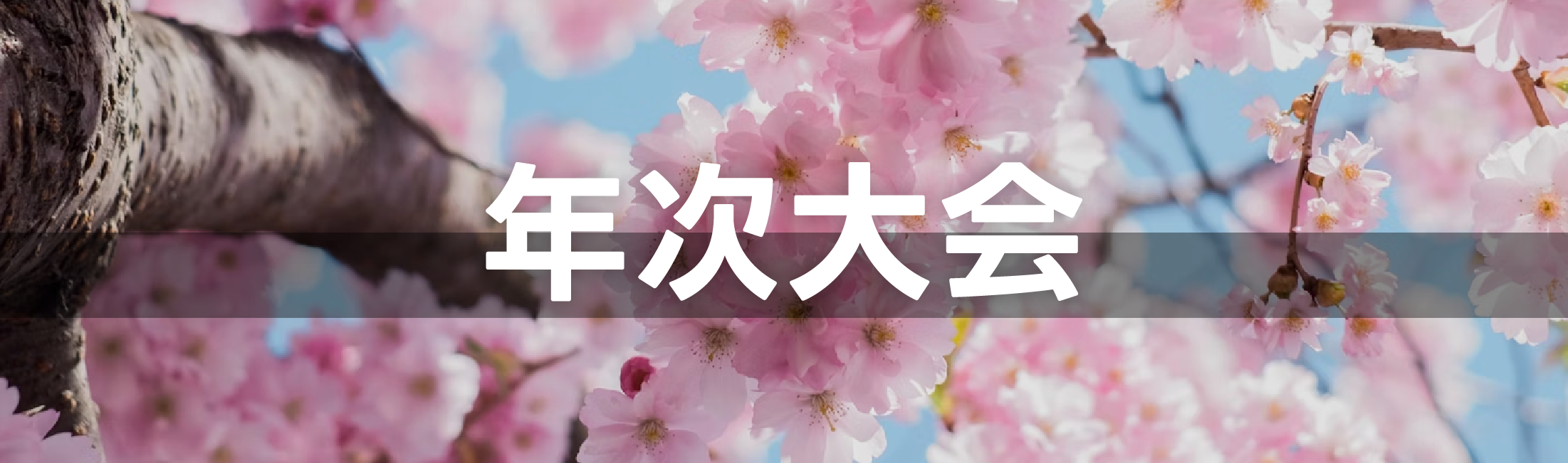 年次大会